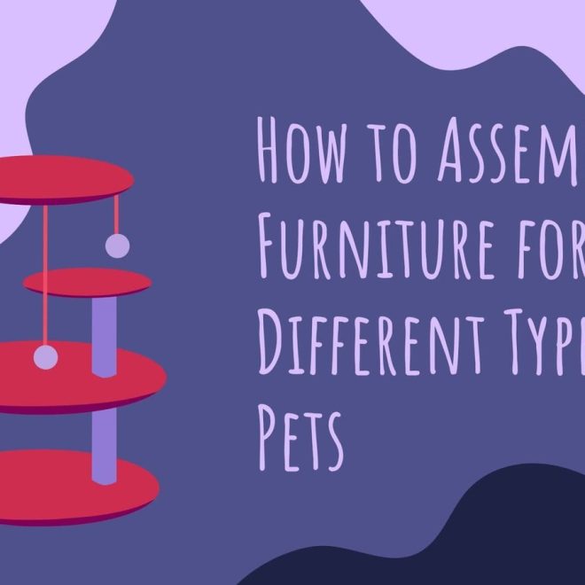 How to Assemble Pet Furniture for Different Types of Pets