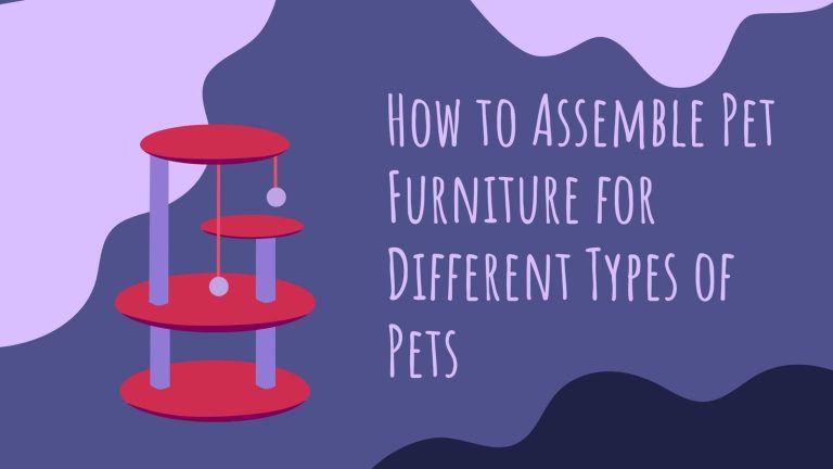 How to Assemble Pet Furniture for Different Types of Pets