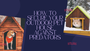 How to Secure Your Outdoor Pet House Against Predators