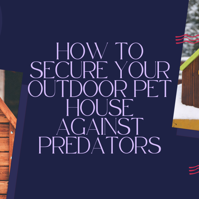 How to Secure Your Outdoor Pet House Against Predators