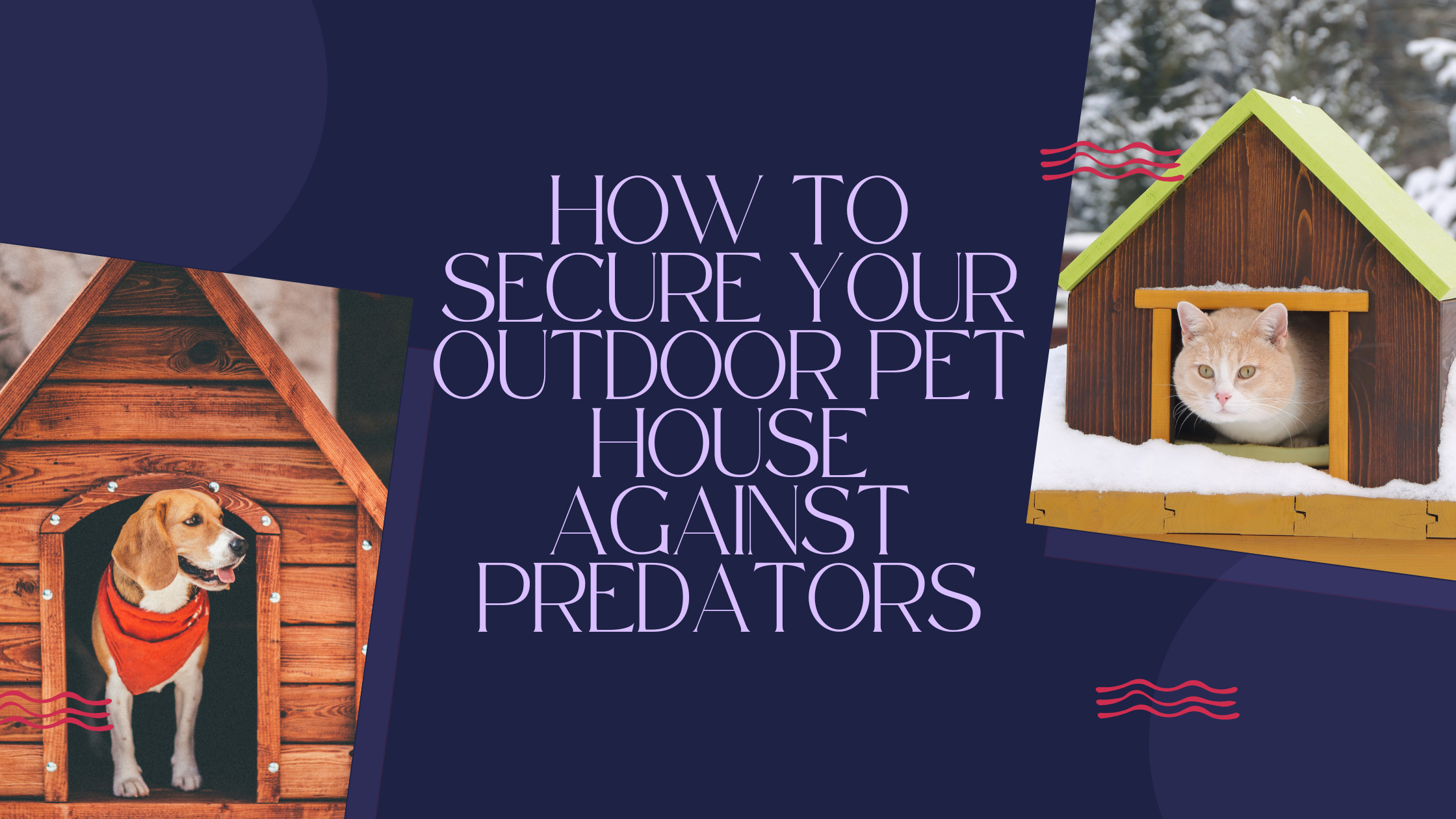 How to Secure Your Outdoor Pet House Against Predators